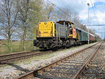 Koninginnedagrit 2006