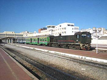 Sporen door de woestijn