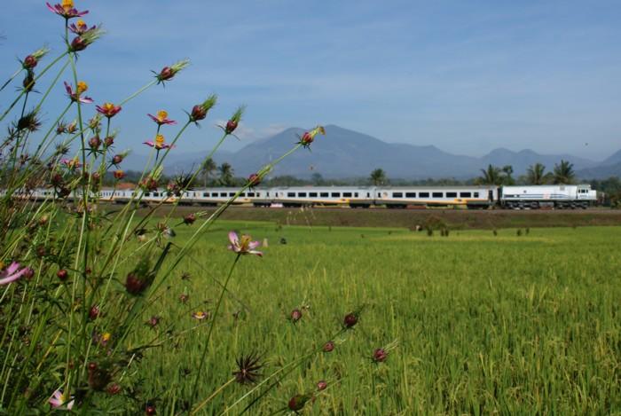 66 jaar Indonesische spoorwegen &mdash; Het begin van een nieuw tijdperk