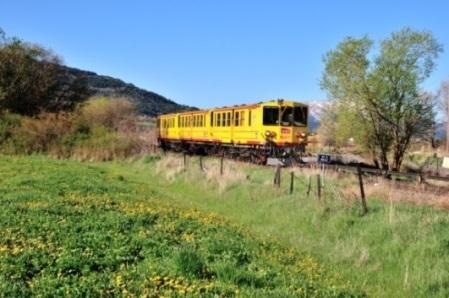 Rond de Pyrenee&euml;n