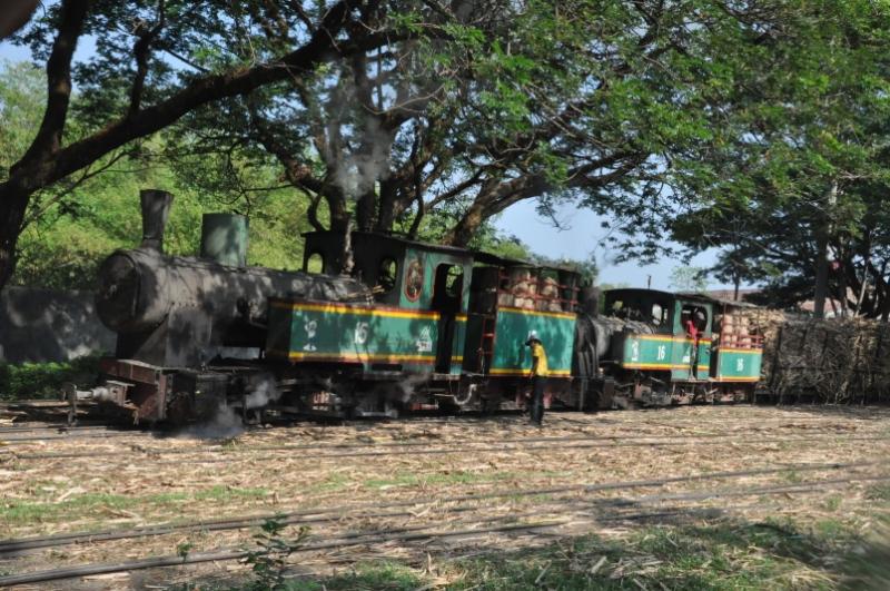Stoomlocs en Indonesische Suikerindustrie