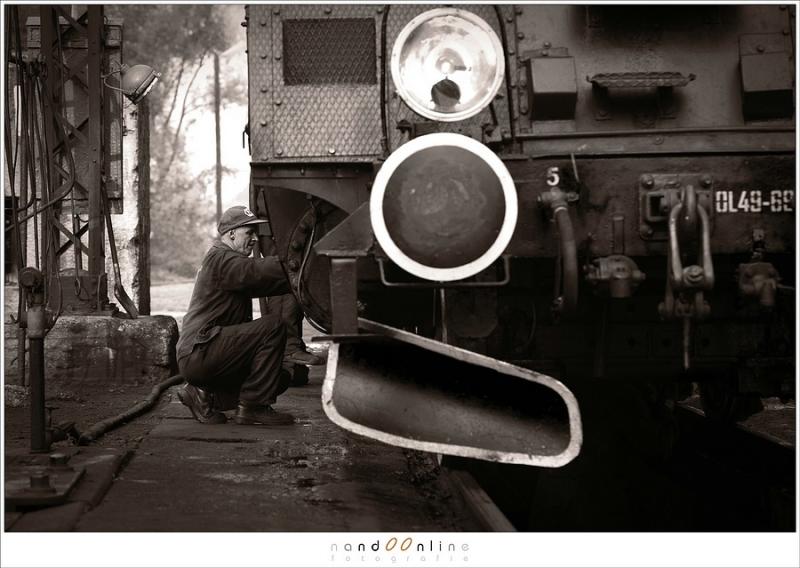 Wolstzyn, Vol op Stoom