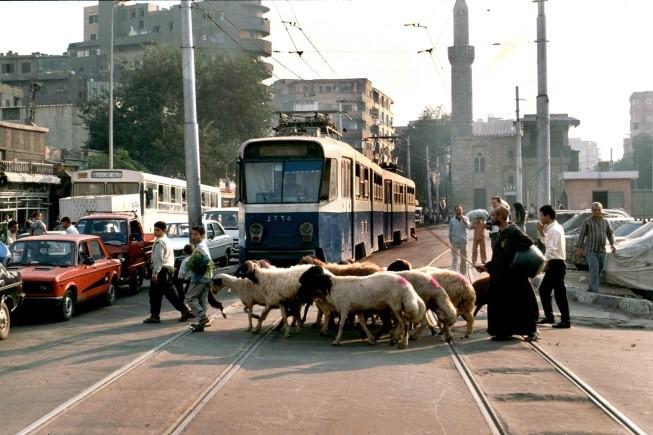 Trams in Noord Afrika, Exotisch en modern