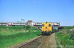 Koninginnedagrit 1999