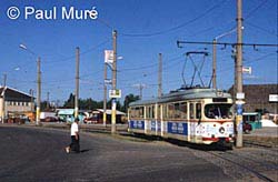 Voorzomerreis Roemenië en Bulgarijë