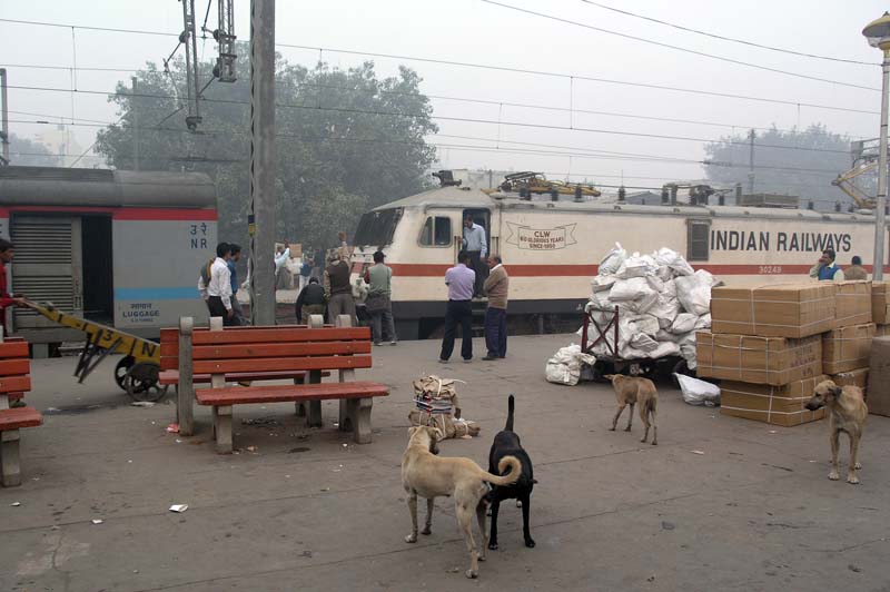 Verre Reis India – Bangladesh