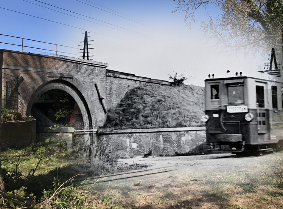 NVBS Actueel – augustus 2020