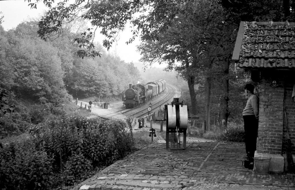 NVBS Actueel – oktober 2020