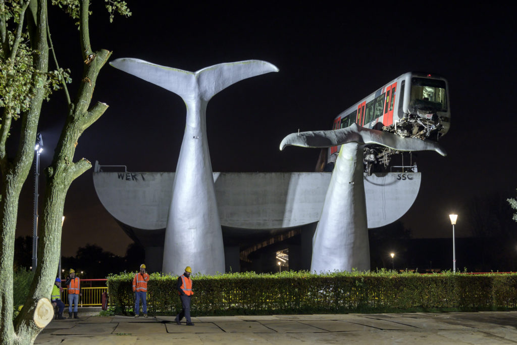 Foto van de maand – november 2020