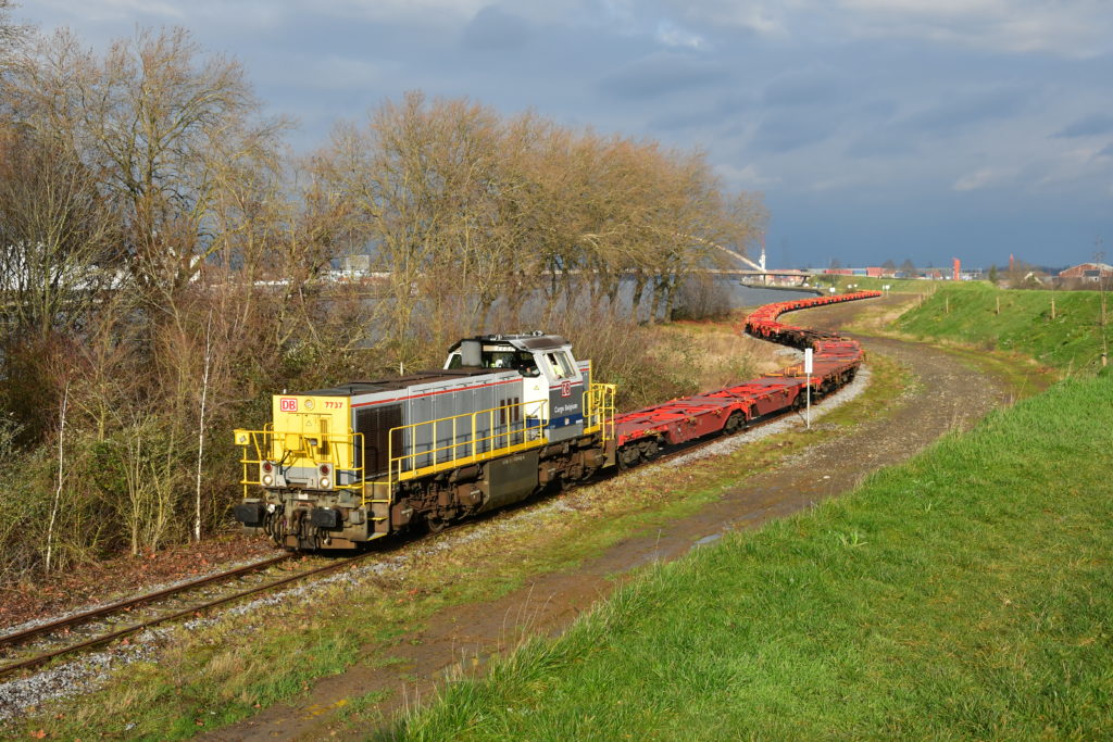 Foto van de maand – januari 2021