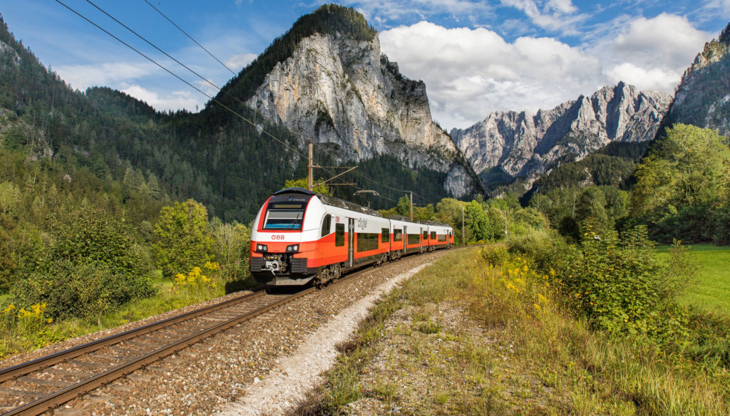 Foto van de maand – januari 2022