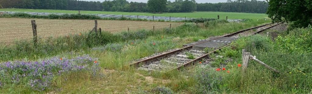 Met het stalen ros langs de IJzeren Rijn