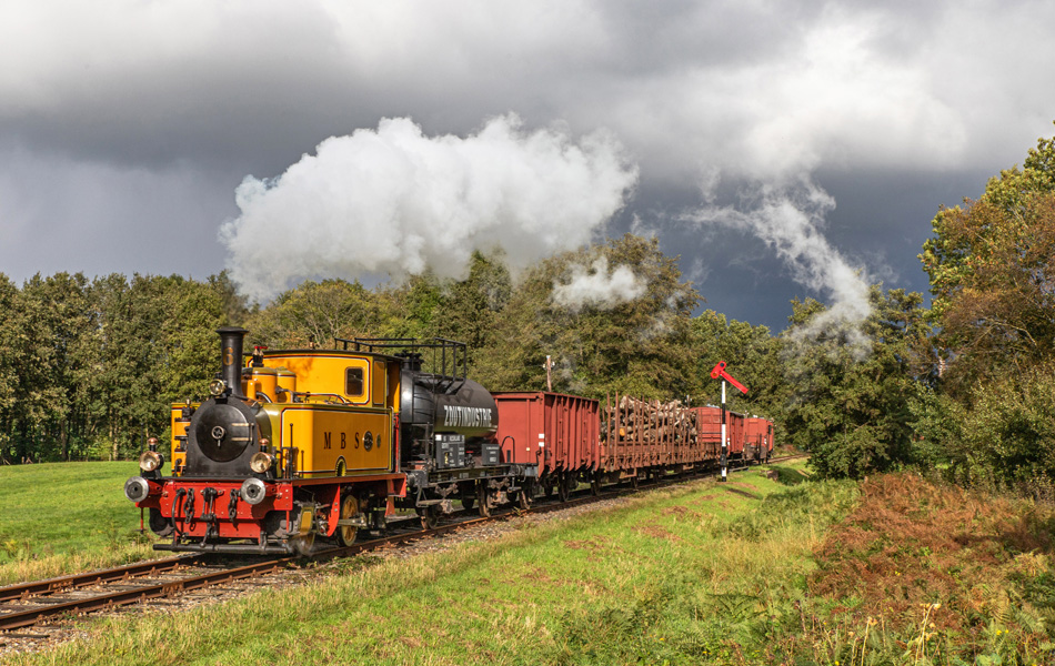 Foto van de maand -november 2023