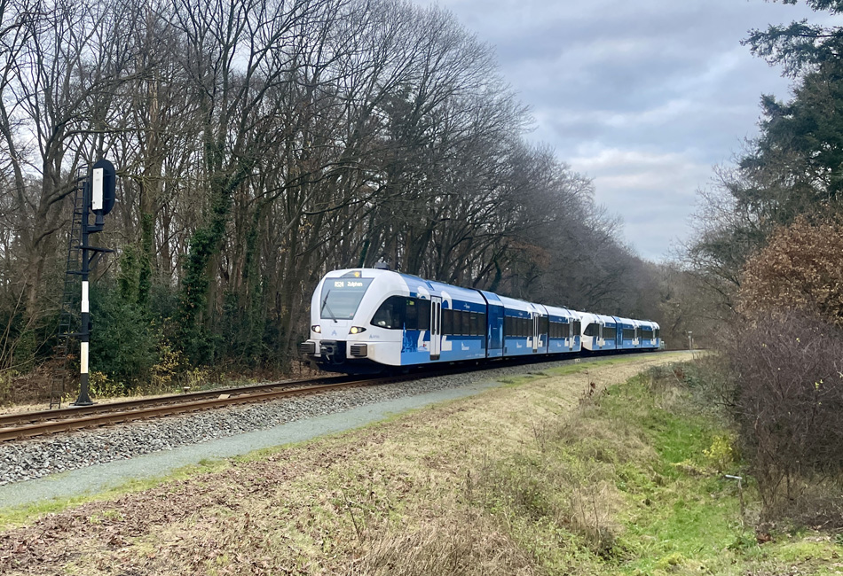 Foto van de maand – januari 2024