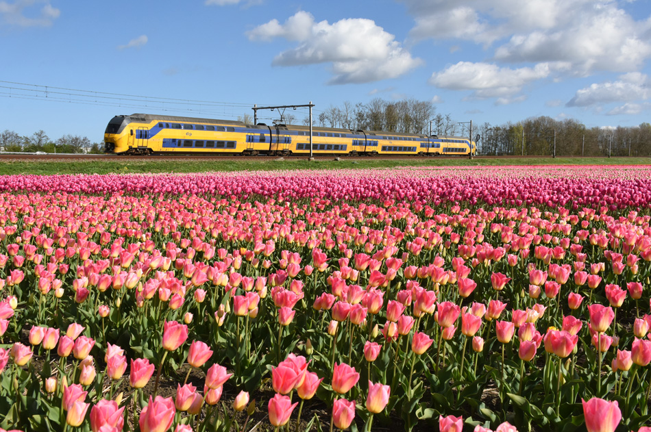 Foto van de maand – april 2024