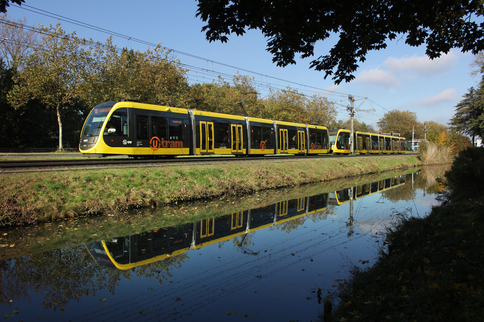 Foto van de maand – november 2024