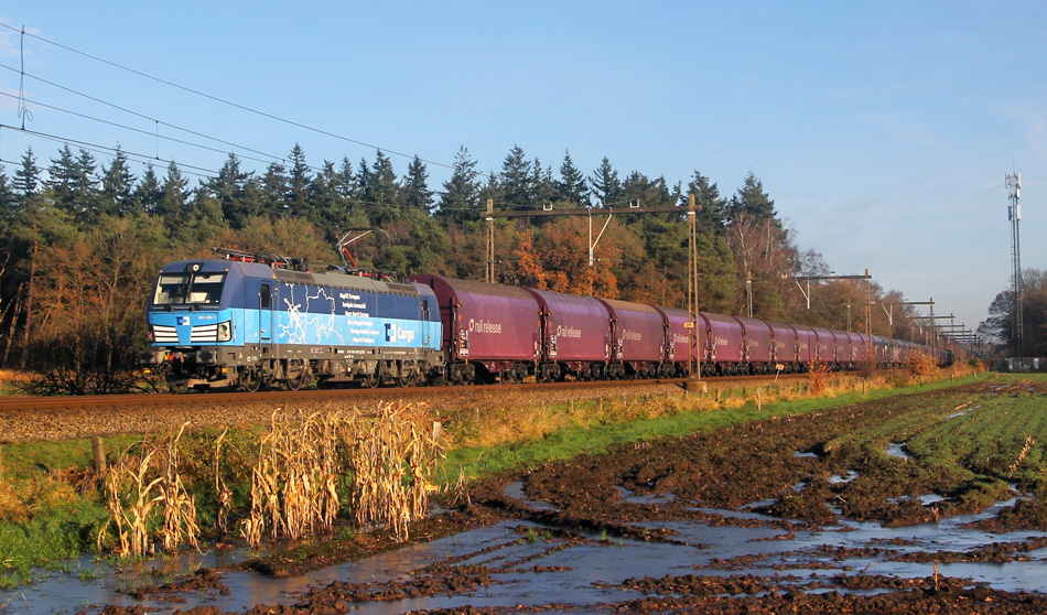 Foto van de maand – december 2024