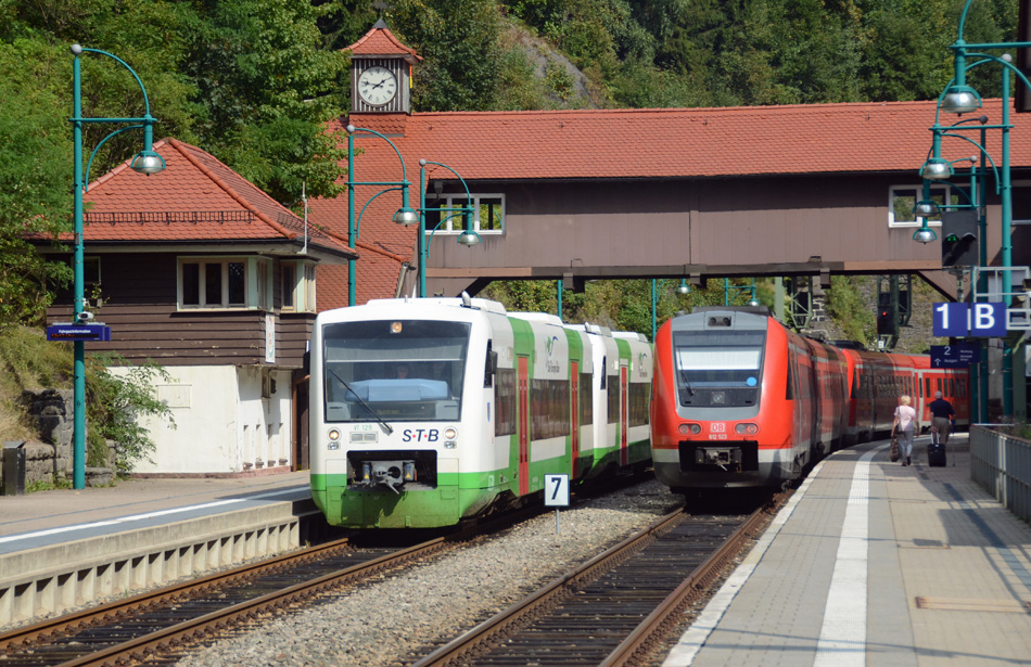 Foto van de maand – februari 2025