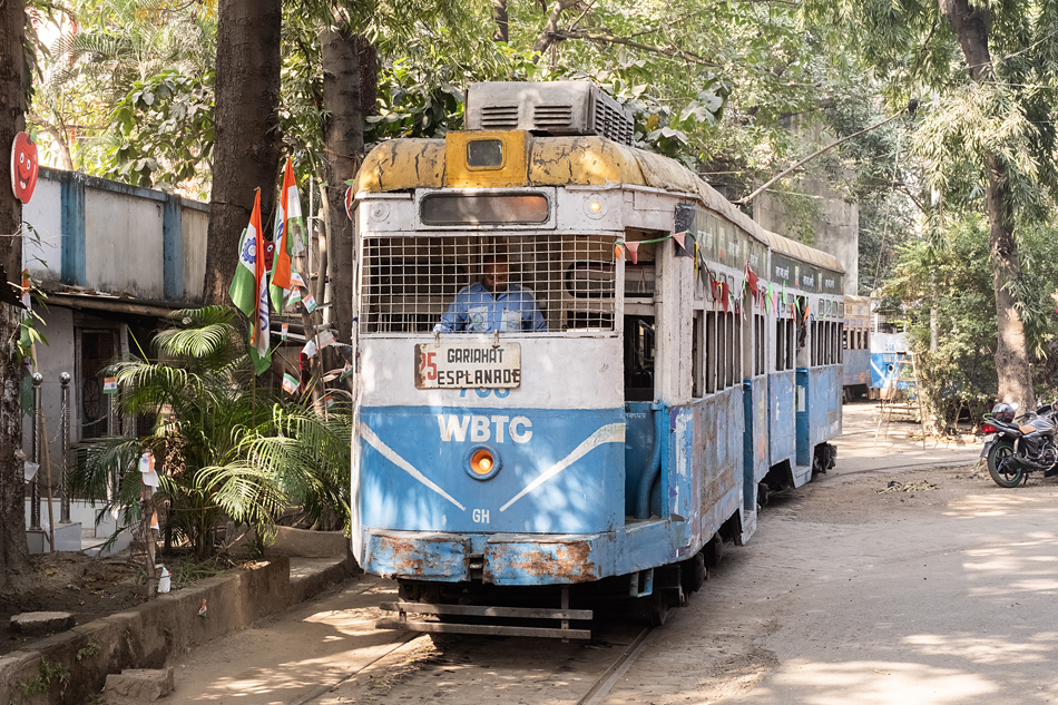 Foto van de maand – maart 2025