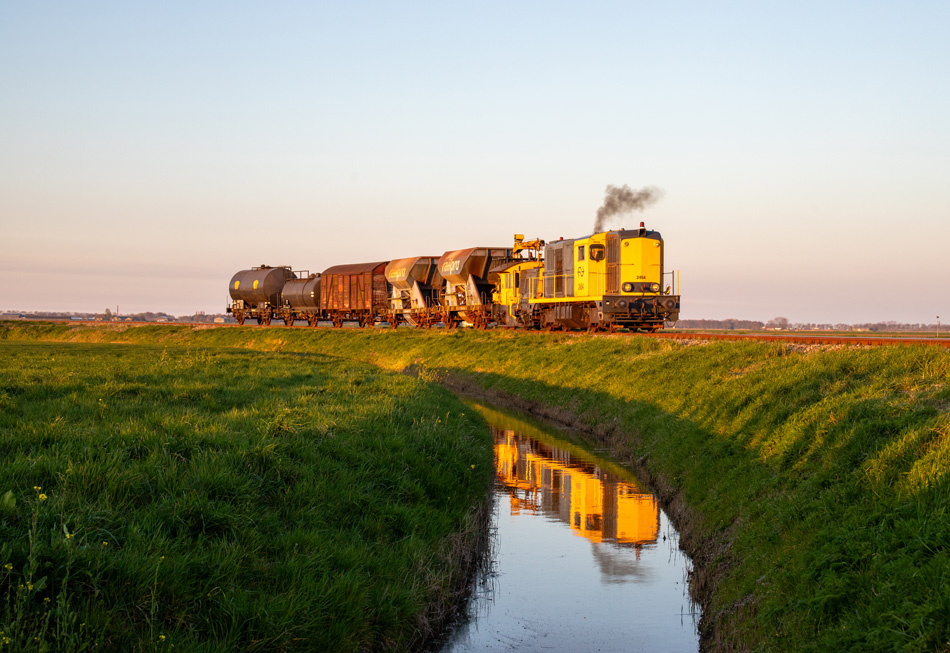 Foto van de maand – april 2025