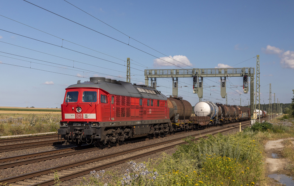 Foto van de maand – juni 2025